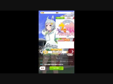 第15回ウマ娘杯NC　京都【パドック】