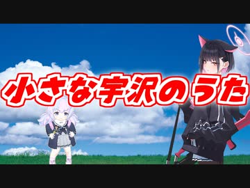 小さな宇沢のうた