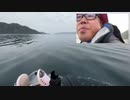 【３時ニコ生録画】2024/04/12 02:00 ドライブ＆カヤック釣り配信