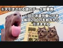 【グッドウィル】法令遵守を無視したピンハネ人材派遣会社 #猫マニ #猫ミーム