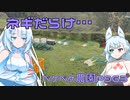 2024年4月12日　農作業日誌P963　作ってきたネギを初めて市場出ししてみた