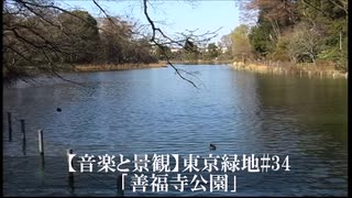 【音楽と景観】東京緑地#34｢善福寺公園｣