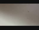 (よ)