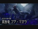 【モンスターハンターライズ】観測拠点「エルガド」に現れた古参MHG勢 Part36