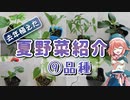 去年、ウチで育ててた夏野菜を紹介します。【美宵の家庭園芸 ニコニコ出張版】