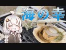 【紲星あかり】炭火で海鮮2種類を料理して乾杯【VOICEROIDキャンプ】