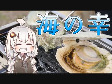 【紲星あかり】炭火で海鮮2種類を料理して乾杯【VOICEROIDキャンプ】