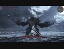 vindictus defying fate フィオナ　