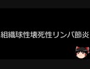 【ゆっくり朗読】ゆっくりさんと不思議な病気 その642
