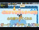 ガーディアンテイルズ30