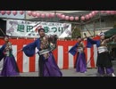 てんしゃばフェスタ踊り子隊　第19回廻田桜まつり　月咲く夜に