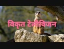 विकृत टेलीविजन