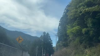 八尾　→ 　和歌山　旅行　花見　2