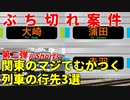 第二弾【ぶち切れ】関東のマジでむかつく列車の行先3選【JR東日本】【ゆっくり解説】#Shorts
