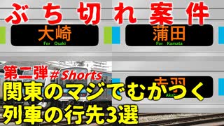 第二弾【ぶち切れ】関東のマジでむかつく列車の行先3選【JR東日本】【ゆっくり解説】#Shorts