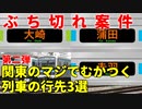 第二弾【ぶち切れ】関東のマジでむかつく列車の行先3選【JR東日本】【ゆっくり解説】