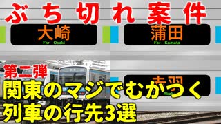 第二弾【ぶち切れ】関東のマジでむかつく列車の行先3選【JR東日本】【ゆっくり解説】