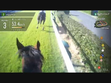 【ジョッキーカメラ】イロゴトシ騎乗の黒岩悠騎手ジョッキーカメラ映像｜2024年中山グランドジャンプ