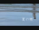 夏の精デモ(short version)