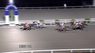 2024年4月13日高知競馬11R 久喜橋特別(B-1組) ロードミッドナイト