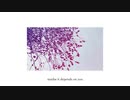 maybe it depends on you (feat.初音ミク)