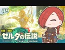 【ゼルダの伝説 TotK】どんな手段を使ってでも作品レ●プする執政官ちゃん #9