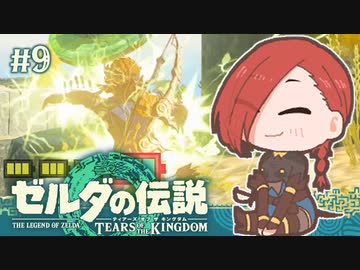 【ゼルダの伝説 TotK】どんな手段を使ってでも作品レ●プする執政官ちゃん #9