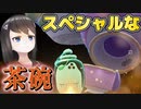 【最高級茶碗ポケモン】春の色違い収穫祭【チャデス＆ヤバチャ編】