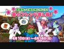 ドラクエ10 10の日『春のフレンド探し隊！』 2024.4.10