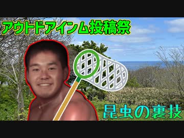 昆虫採集をする空手部.osamushi