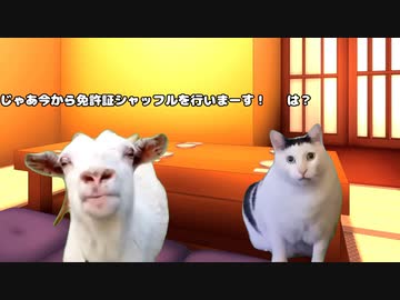 個人情報には気を付けよう！【猫ミーム】