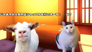 個人情報には気を付けよう！【猫ミーム】