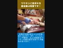 ワクチンに含まれる重金属は有害です！-1