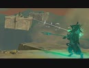 【ティアキン】自由すぎる遊びを楽しむリンクさんの冒険　６４話【ドリカラ】【ボイスピ実況,ゼルダの伝説,ティアーズオブザキングダム,TotK】