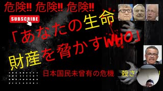 危険!! 危険!! 危険!!「あなたの生命　財産を脅かすWHO」日本国民未曾有の危機　殺されるな!!