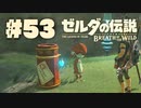 【ぽつぽつ実況 #53】ゾーラ史【ゼルダの伝説BoW】