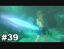 【ゆっくり実況】ゼルダの伝説BotW 4縛り#39（終）