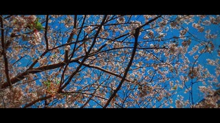 【オリジナル】春告げのうた feat. 初音ミク - サモントキスケ