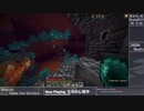 【Minecraft】エンドラRTA 11分2秒(ランダムシード・バグなし)