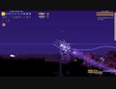 dog 無被弾【calamitymod】