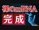 裸mRNA研究読んでみたら今のmRNAワクチンの真実を暴露してた、、