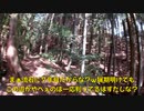 (チルタイム継続中？)変態忍者の、有害鳥獣駆除従事活動記・その２８１