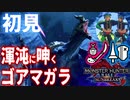 【MHR:SB／女性2人実況】モンハンは2乙から　初めての混沌に呻くゴア・マガラ戦【ランス×操虫棍】Part12