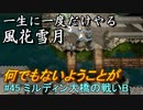 新しい解釈でやる風花雪月＃45