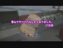 雪山でサバイバルしたくなりました。27日目
