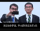 ちょこっと気になるニュース　カエルの子は、やっぱりカエルだった