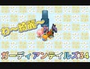 ガーディアンテイルズ34