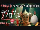 10年振りくらいにドSな人とウツロマユ実況#９