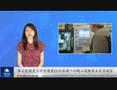 米上院議員らが中国製EVの米国への輸入全面禁止を求める