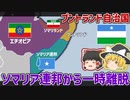 第58位：プントランド自治国ーソマリア連邦から一時離脱。分裂の危機か？【ゆっくり解説】